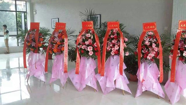 蜜桃色色网站装饰开业大吉.jpg